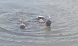 Nam công nhân lao mình cứu người phụ nữ nhảy cầu Nam công nhân lao mình cứu người phụ nữ nhảy cầu