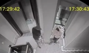 19 phút vơ vét trang sức, túi hàng hiệu trong biệt thự của giới siêu giàu