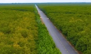 Gần 50 km đường Hồ Chí Minh xuyên rừng trước ngày thông xe